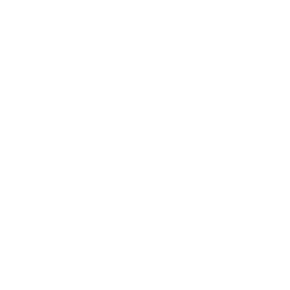 SJaeLee's emblem