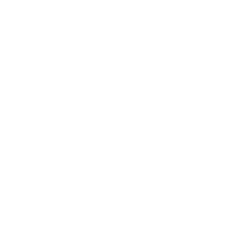 EvilPonney's emblem