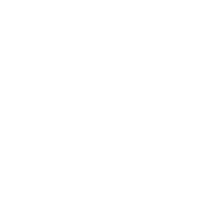 rinofocus's emblem