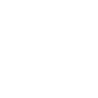 1337FIN's emblem