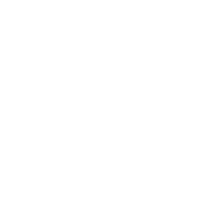 Naotico's emblem