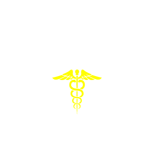 LifePro13's emblem