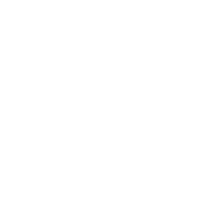 paralooper's emblem