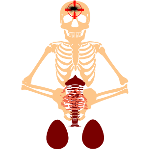 Schlumpf_K's emblem