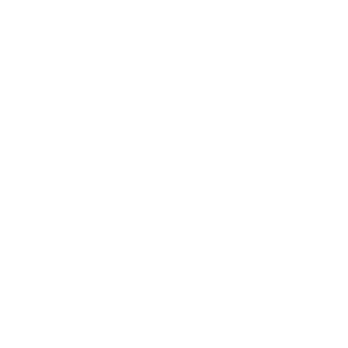 Wookie7228's emblem
