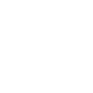 BlackC0rp's emblem