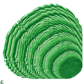 Doofensqints's emblem