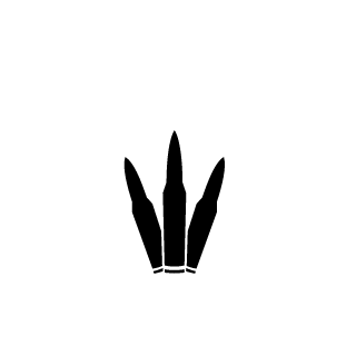Nightwolf1981's emblem