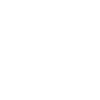 1987-Core's emblem