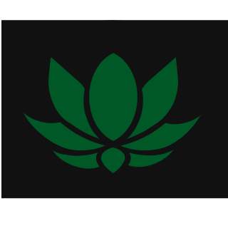 N_Ilya03's emblem