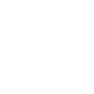 cyberpunkchen's emblem