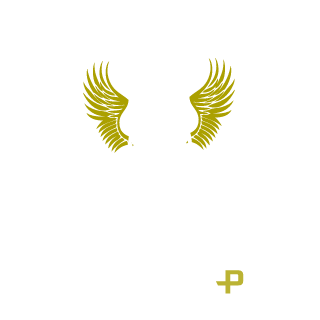 Brun0Henriqe's emblem