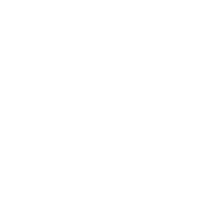 p-strela's emblem