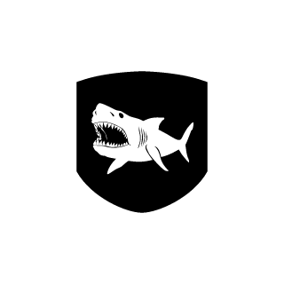 MeteorSR23's emblem