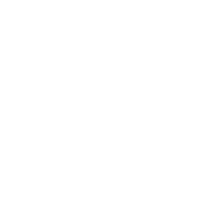 iNewikis's emblem