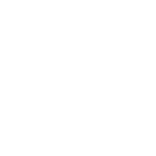 Will-Smiith's emblem