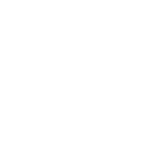 JForce1's emblem
