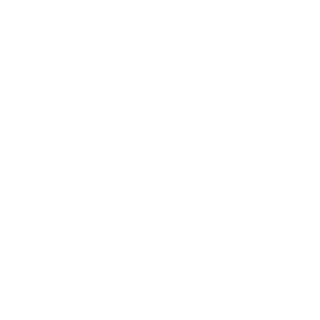 L1mt7's emblem