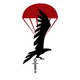 C_RobinFools94's emblem