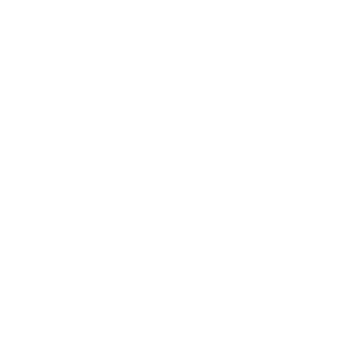 A10POPTOSIS's emblem