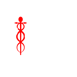 squidpunk1's emblem