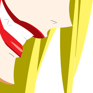 Stella1449's emblem