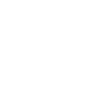 Brakoner13's emblem