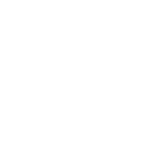 HybridLee's emblem