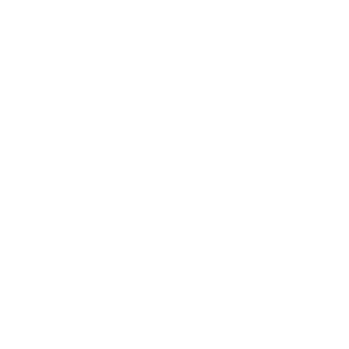 BIackMoon's emblem