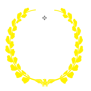 RMVgamer's emblem