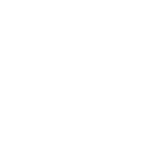 ViRal x LoGic's emblem