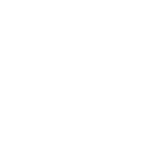 RA9616's emblem
