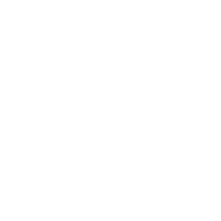 VODKA_2011's emblem