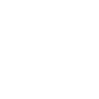 ChevyZ06's emblem