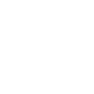 Dragon_L20's emblem