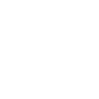 vasy100279's emblem