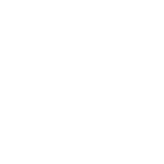 Mavrik-PCS's emblem