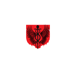 Tecnhochef's emblem