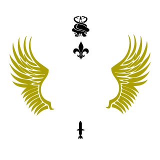 CodeBlack009's emblem
