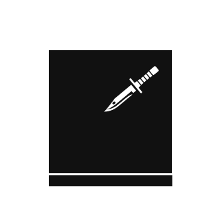 17e2e7f80753b3e4's emblem