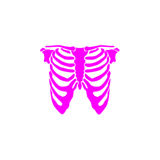 xedox2020's emblem