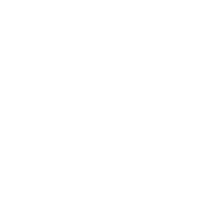 BerserkEwok's emblem
