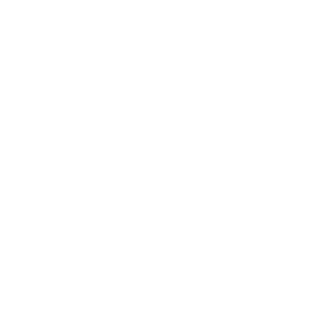 3l_c1d's emblem