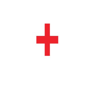 TheVladiLeon's emblem