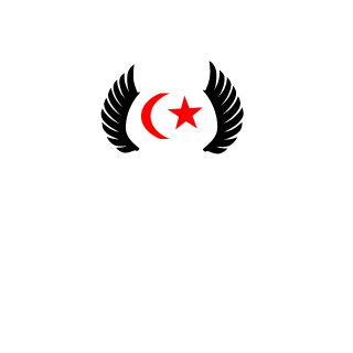 snyderbfx's emblem