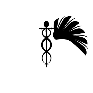 Dominiko666's emblem