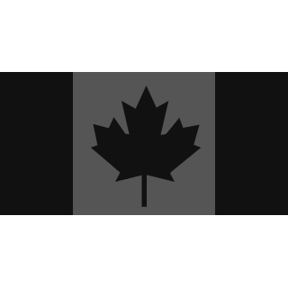 Critical_Hour's emblem