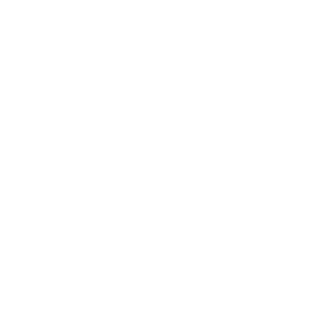 PhantomZ90's emblem