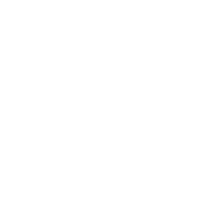 DeadSoulKing's emblem