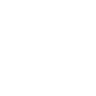 NSTBCN's emblem